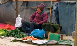 青海吃瓜老汉视频,一场田间地头的欢乐盛宴