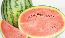 吃瓜拉肚子经历,一次意外的肠胃体验