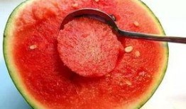 专门吃瓜头像的人,揭秘“专门吃瓜头像”的神秘人生