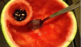 瓜忍和水吃,探寻美食与文化的交融之旅