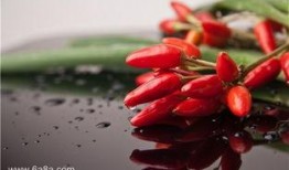 梦吃鸡瓜,探寻梦境中的美食奇遇