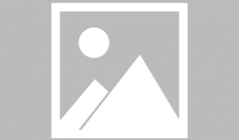 表白文吃瓜,一场别开生面的表白盛宴