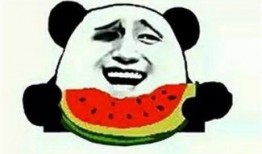 吃瓜群众教官小说,校园风云录