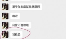 吃瓜罗志祥的聊天记录,揭秘娱乐圈背后的秘密与真相