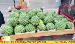 吃生瓜养胃还是伤胃,揭秘生食瓜果的胃部影响之谜”