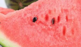 泗水有瓜吃,共享丰收喜悦