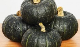 宝宝吃的秋瓜做法,秋瓜美味做法大揭秘