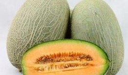 许愿吃哈密瓜图片,甜蜜愿望，尽在这一刻