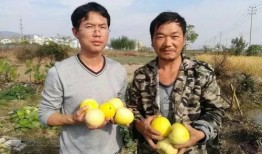 吃瓜群众659,一场全民参与的娱乐盛宴