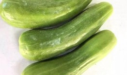 老余吃瓜,揭秘娱乐圈那些不为人知的幕后故事