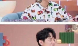 应援吃瓜,揭秘娱乐圈幕后风云