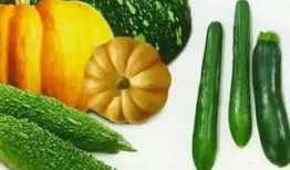 江淮吃瓜,江淮地区特色吃瓜文化探秘