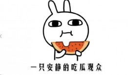 嗑瓜的吃瓜,揭秘吃瓜背后的趣味与真相