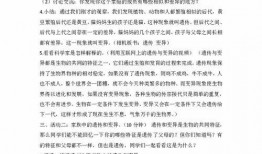 种瓜得瓜吃瓜得灯作文,探寻因果循环的智慧