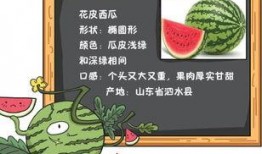 读心声吃瓜场合集,读心声吃瓜场合集精彩回顾