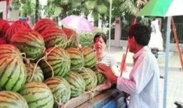 临海花店老板吃瓜,临海花店老板的瓜田奇遇记