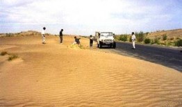 吃瓜最新事件伊犁,揭秘新疆伊犁瓜农的甜蜜困境