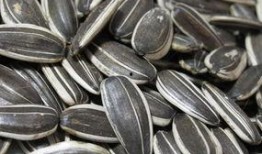 瓜娃子吃瓜子越吃越瓜,越吃越“瓜”的奥秘探索