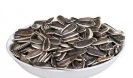 吃瓜子豆瓜着,品味生活的小确幸