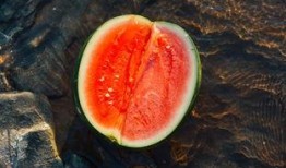 二翁吃瓜,夏日瓜香里的闲情逸致