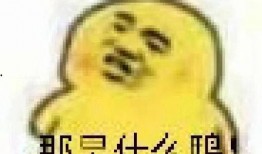 吃瓜全套表情包