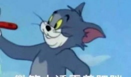 汤姆吃瓜表情包,趣味横生的网络文化现象