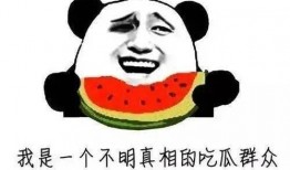 吃瓜群众们的热情,全民吃瓜狂欢记