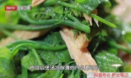 瓜娄怎么吃通便