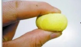 大星吃瓜说球,揭秘足球圈那些不为人知的幕后故事