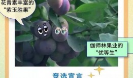 吃瓜界的巅峰,揭秘那些年我们一起追的瓜