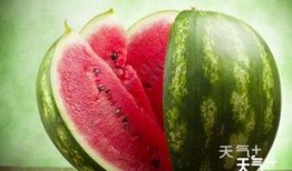 最新免贵吃瓜群,网络社交新趋势下的匿名狂欢