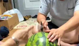 领证吃瓜,甜蜜瓜果盛宴来袭！