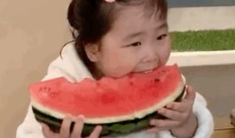 吃瓜熬夜表情包,表情包里的欢乐时光