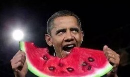 吃瓜太太675,揭秘娱乐圈背后的惊人真相