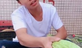 吃瓜趣事搞笑段子,那些让人捧腹的吃瓜趣事