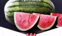 沙瓜怎麽吃,探索美味新境界