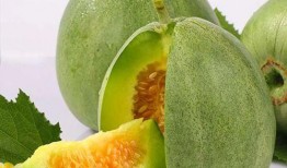 吃宝石瓜,大自然的馈赠，营养与美味的完美结合