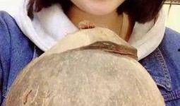 吃瓜刘小胖,揭秘娱乐圈背后的故事