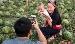 吃瓜群众图片瓜田,吃瓜群众捕捉夏日欢乐瞬间