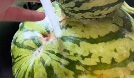 高手搞笑吃瓜视频,带你领略欢乐无限