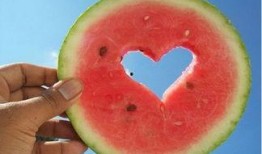 露营吃瓜搞笑,欢乐无限，笑料横生！