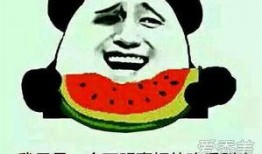 吃瓜群众板凳瓜子,揭秘网络热议背后的趣味与真相