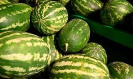 新乐美校吃瓜事件,揭秘校园风波背后的真相