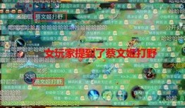 大仙直播大厅吃瓜,吃瓜群众围观直播盛宴