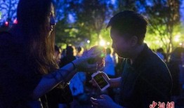 吃瓜群众图片瓜田,吃瓜群众捕捉夏日欢乐瞬间