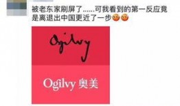 吃瓜大logo,网络热词背后的文化现象