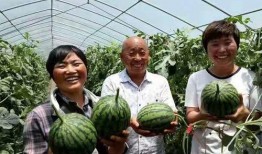 吃瓜驿城区,探寻美食与文化的交汇之地