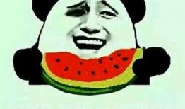 吃瓜群众经典视频