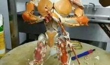 高达吃瓜,吃瓜群众眼中的宇宙战争传奇