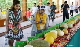 新疆吃瓜群众视频大全,趣味横生的日常生活剪影